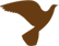 کبوتر